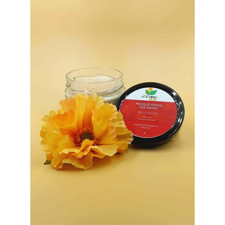 Masque Visage des Mayas Argile et Ylang-Ylang - Nettoyage des pores en profondeur - Nutrifeel