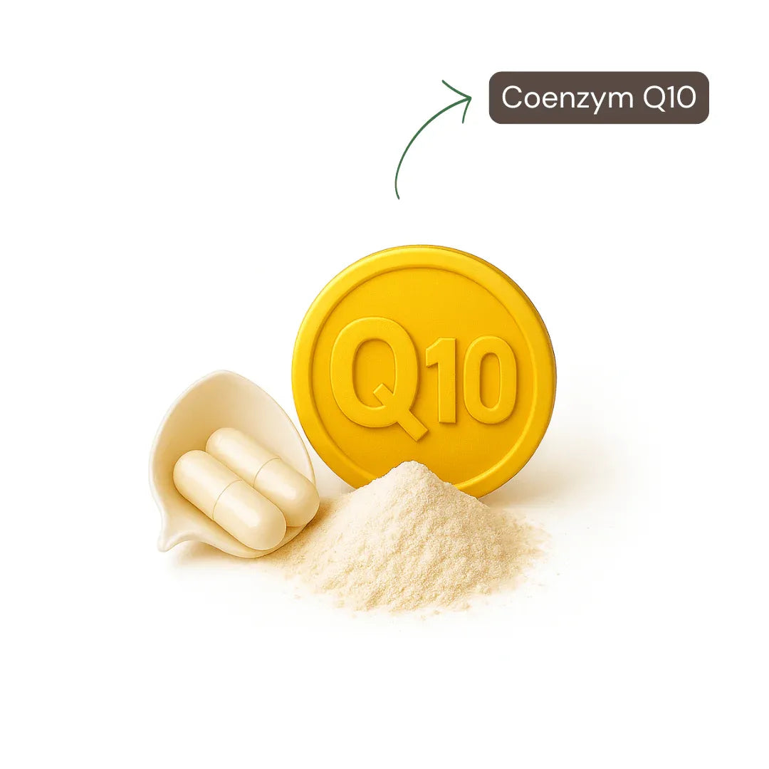 Coenzym Q10 Kapseln - Nutrifeel