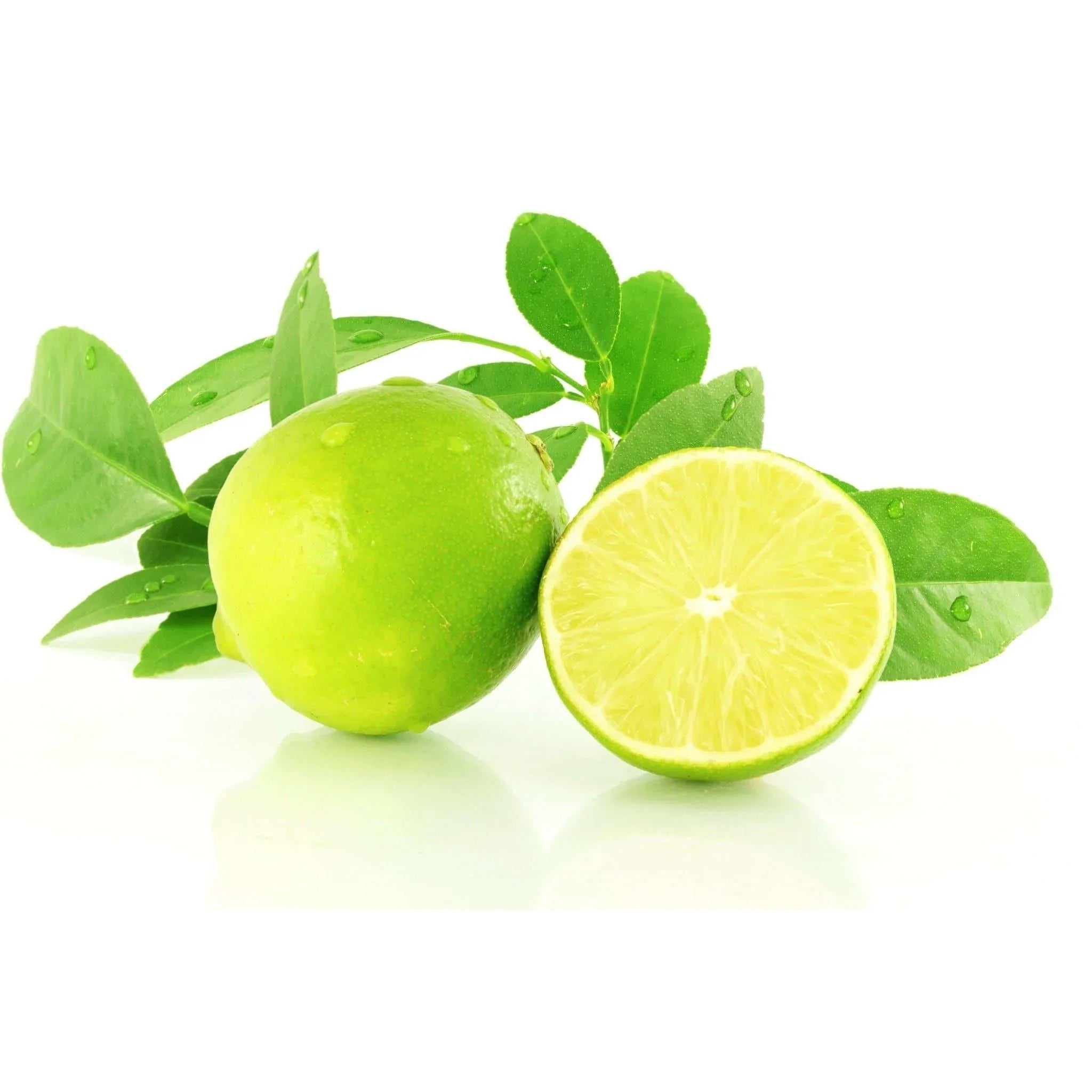 Déodorant Tea Tree et Citron - Nutrifeel