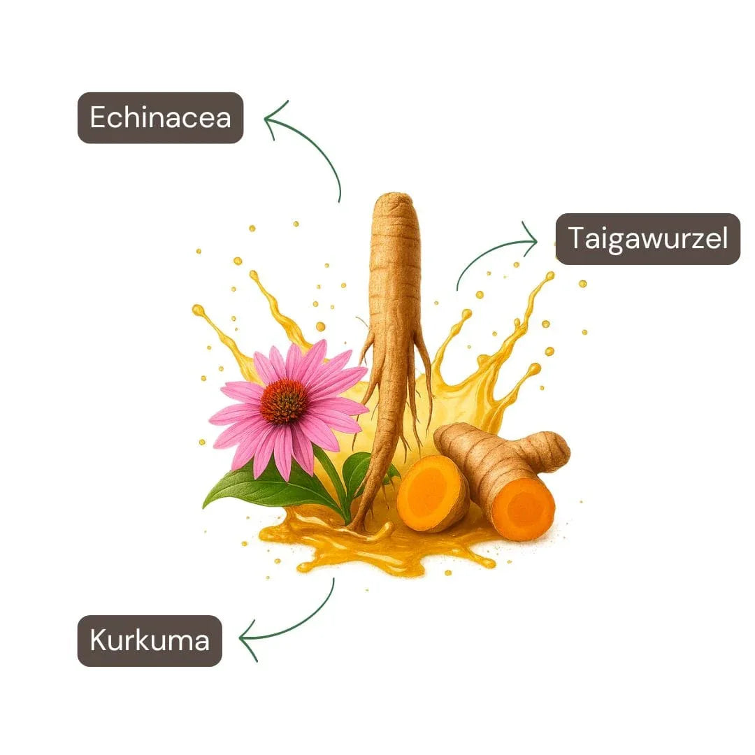 Schutzschild Pflanzenextrakt-Spray 50ml - Nutrifeel